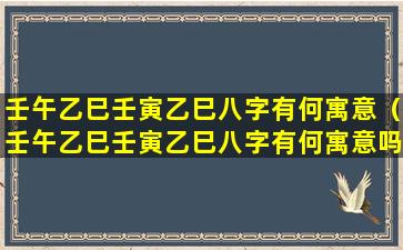 壬午乙巳壬寅乙巳八字有何寓意（壬午乙巳壬寅乙巳八字有何寓意吗 🐱 ）